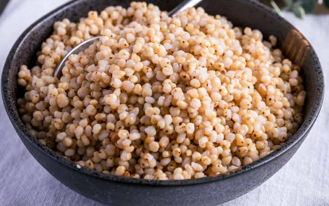 Sorghum