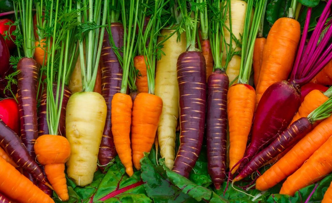 Savory Herb-Infused Roasted Carrots