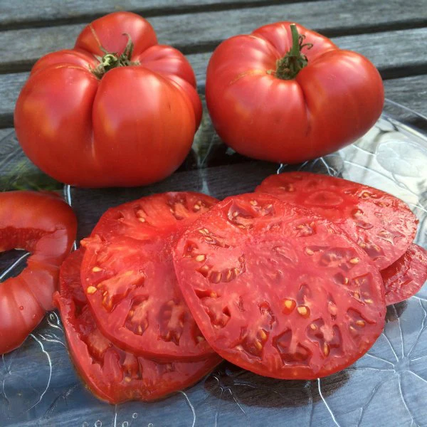Beefsteak Tomatoes