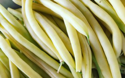 Wax Beans