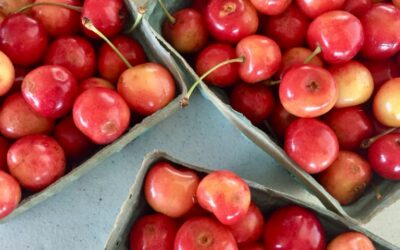 Rainier Cherries