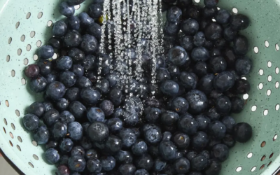 Blueberries